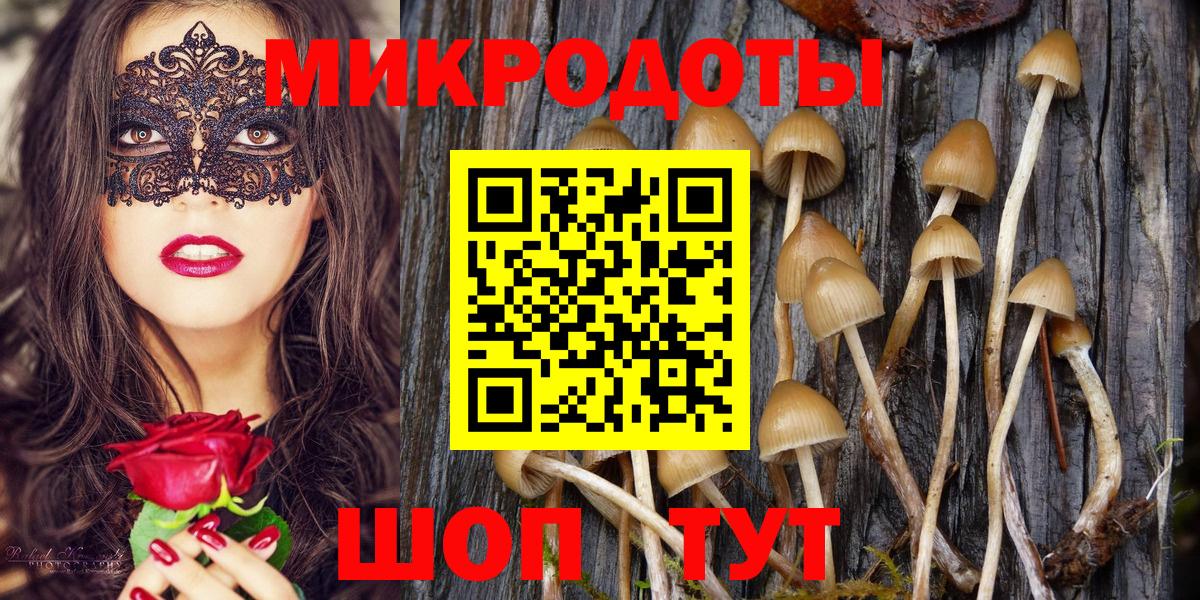 Галлюциногенные грибы Magic Shrooms  Вход с VPN  Донской 